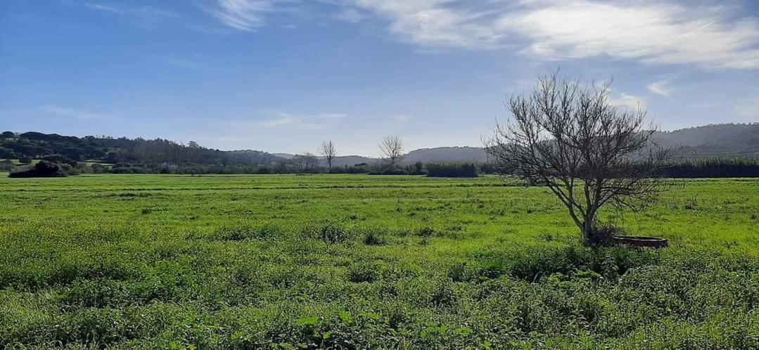 Guesthouse A Lareira Aljezur Dış mekan fotoğraf